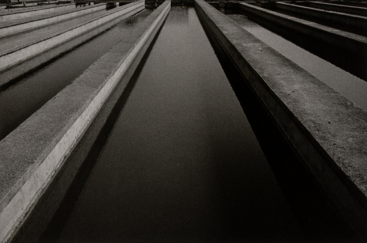 Rafael Navarro, Sin ti?tulo. L’Albufera. Visio? Tangencial, 1985. IVAM. - Rafael Navarro, Sin ti?tulo. L’Albufera. Visio? Tangencial, 1985. IVAM. -
