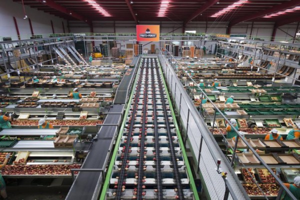 Anecoop incorpora como socia a la cooperativa Fruits de Ponent, líder europeo en fruta de hueso