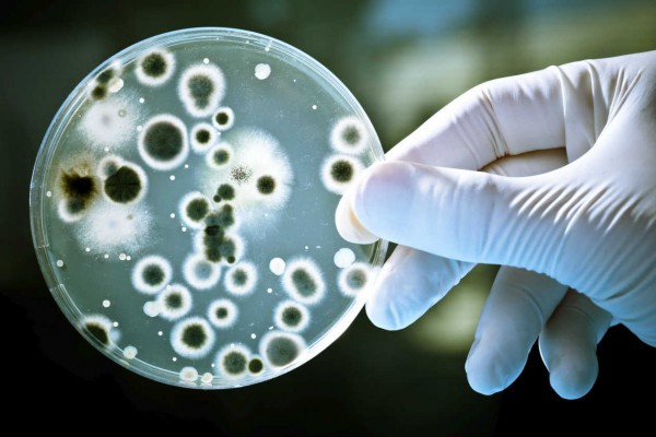 Global Omnium lidera un proyecto europeo para reciclar vertidos industriales con bacterias


