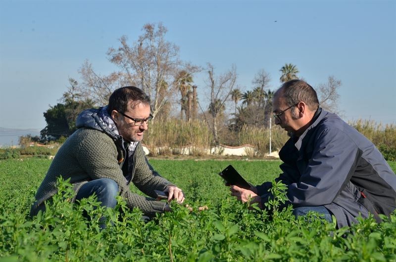 CultiApp, la 'app' para contribuir al mantenimiento de la huerta valenciana