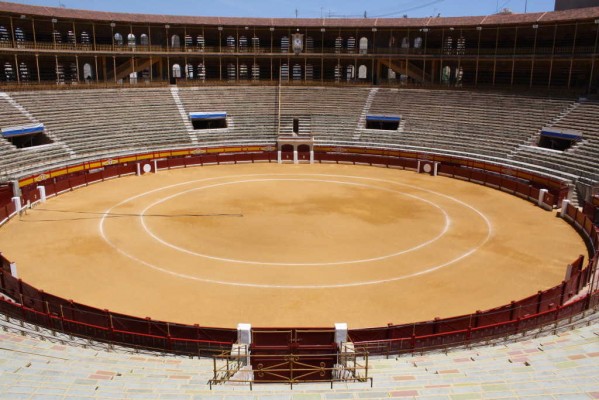 Alicante estudia dotar de asientos con respaldo a la plaza de Toros para optar a las semifinales de la Davis