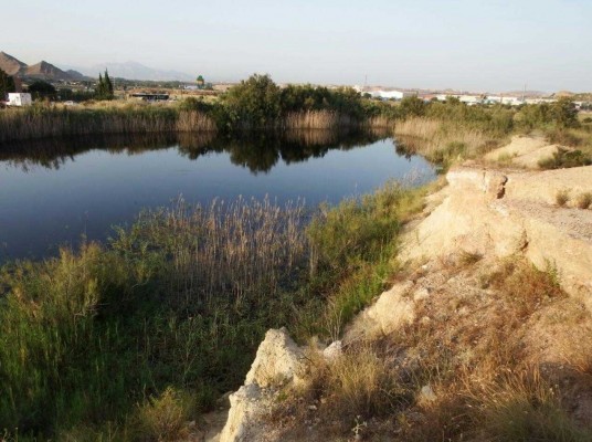 Alicante pedirá al Consell que Aguamarga y Fontcalent sean parajes naturales municipales