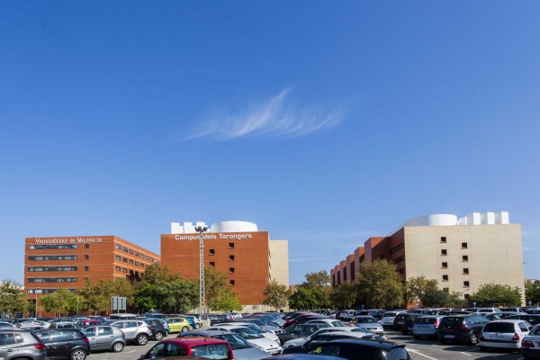 Universitat de València, una universitat per al Bé Comú?