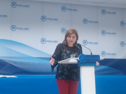 Bonig asegura desconocer si hubo reuniones entre Bárcenas y Costa y que no le corresponde valorar versiones