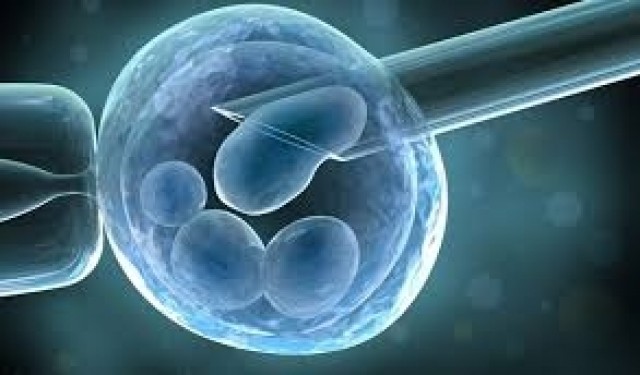 Diseñan un tratamiento para el ictus con células madre que reparan el tejido cerebral dañado