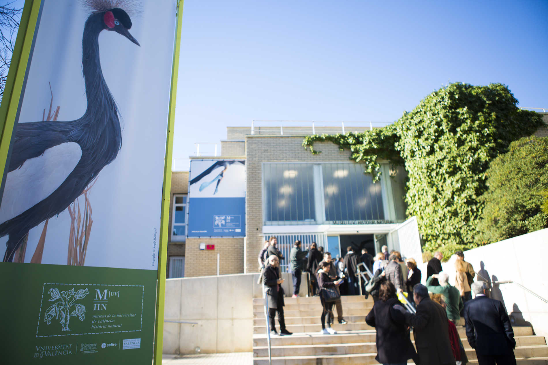 La Universitat de València inaugura el Museu de Història Natural  (Fotos: ESTRELLA JOVER)