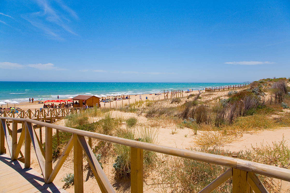 Acceso a la playa de Guardamar del Segura desde el paraje de Rincón de Luna. Foto: GUARDAMAR - 