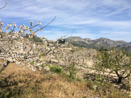 Descobrir la riquesa dels nostres camps