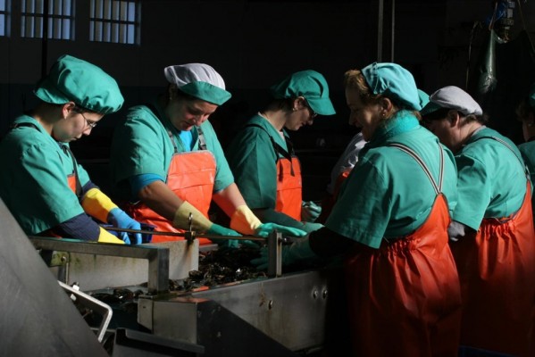Brecha salarial: en esto también hay que mirar hacia los países nórdicos