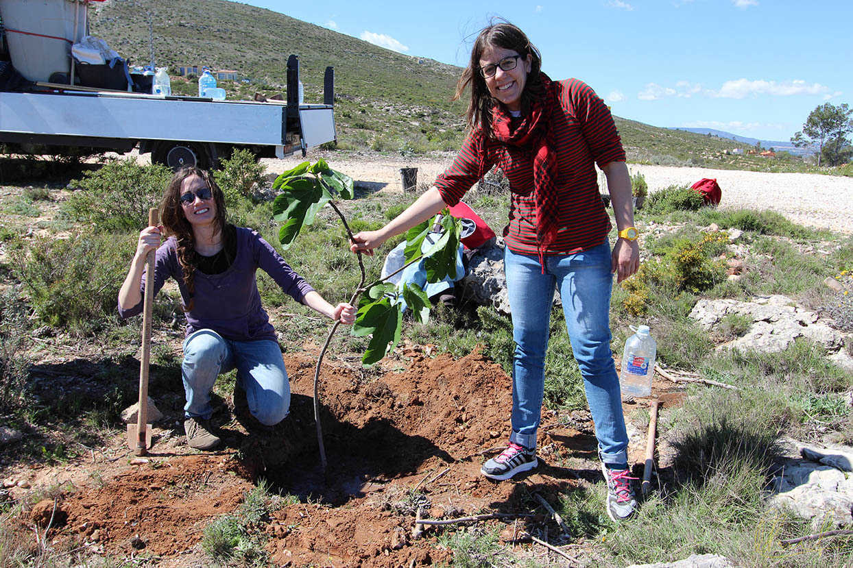 El festival VESOS organiza un concurso de arte sobre ecología sostenible