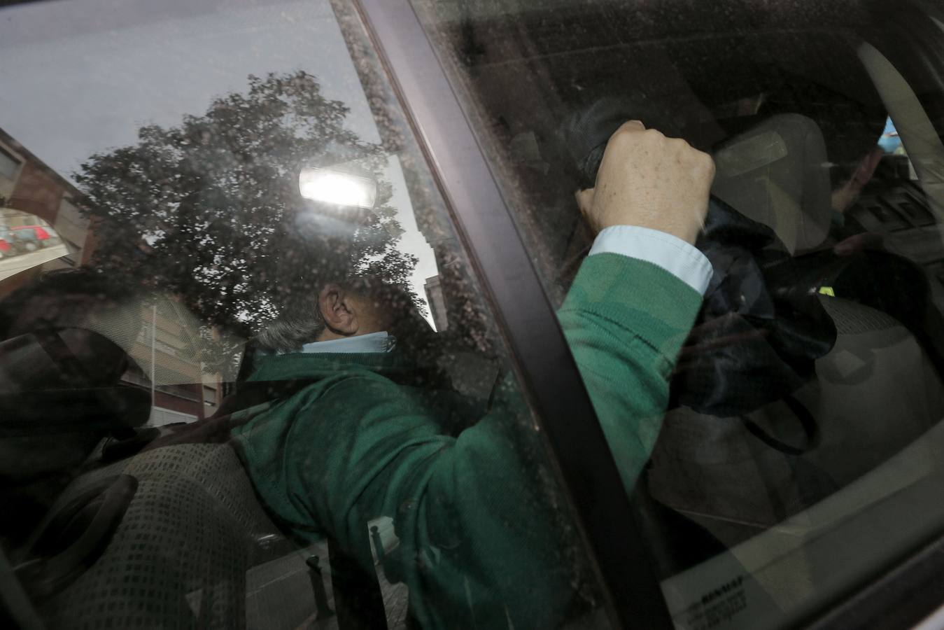 Hormigas, Pitufos y Cortejo