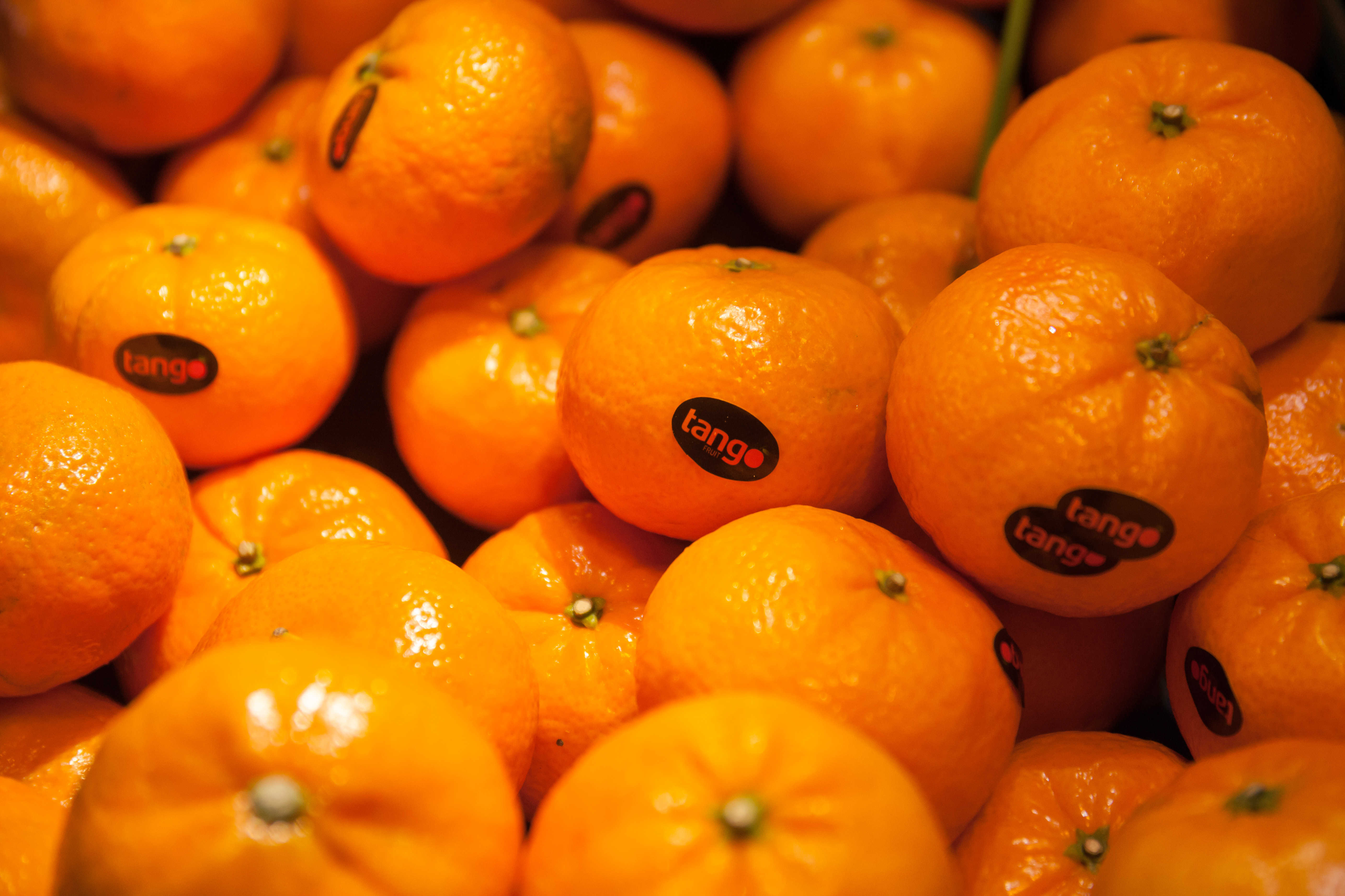 Eurosemillas advierte que vender como Tang Gold mandarinas de otras variedades puede ser fraude 