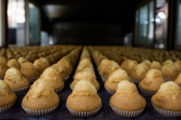 La valenciana Dulcesol invierte 4,5 millones para aumentar la producción en su fábrica de Argelia
