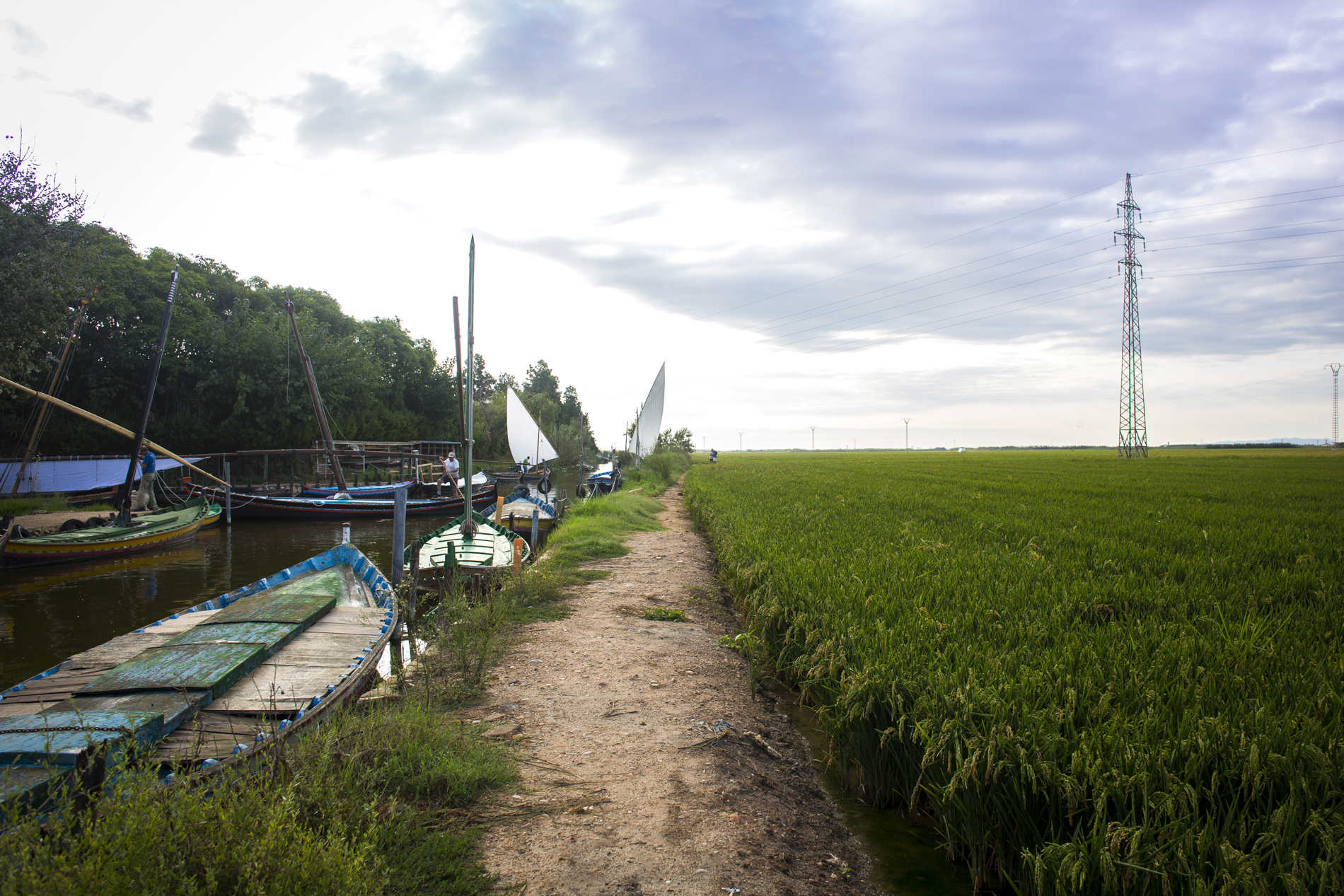 Exhibición de Vela Latina en Silla (Fotos: EVA MÁÑEZ)