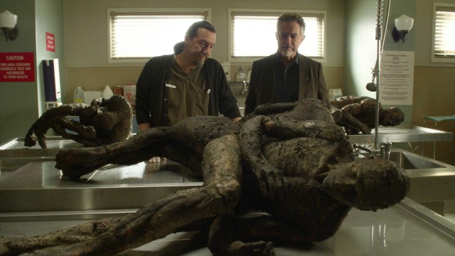 La muerte como espectáculo: visita a los laboratorios forenses de las series de TV 