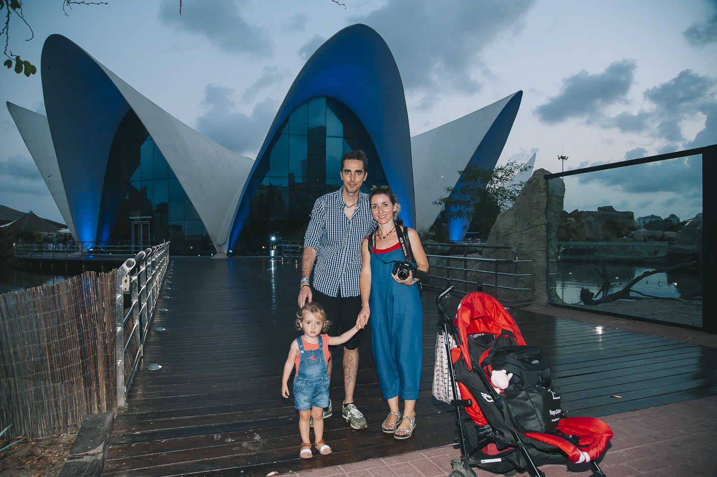 Las Noches del Oceanogràfic (Fotos: KIKE TABERNER)