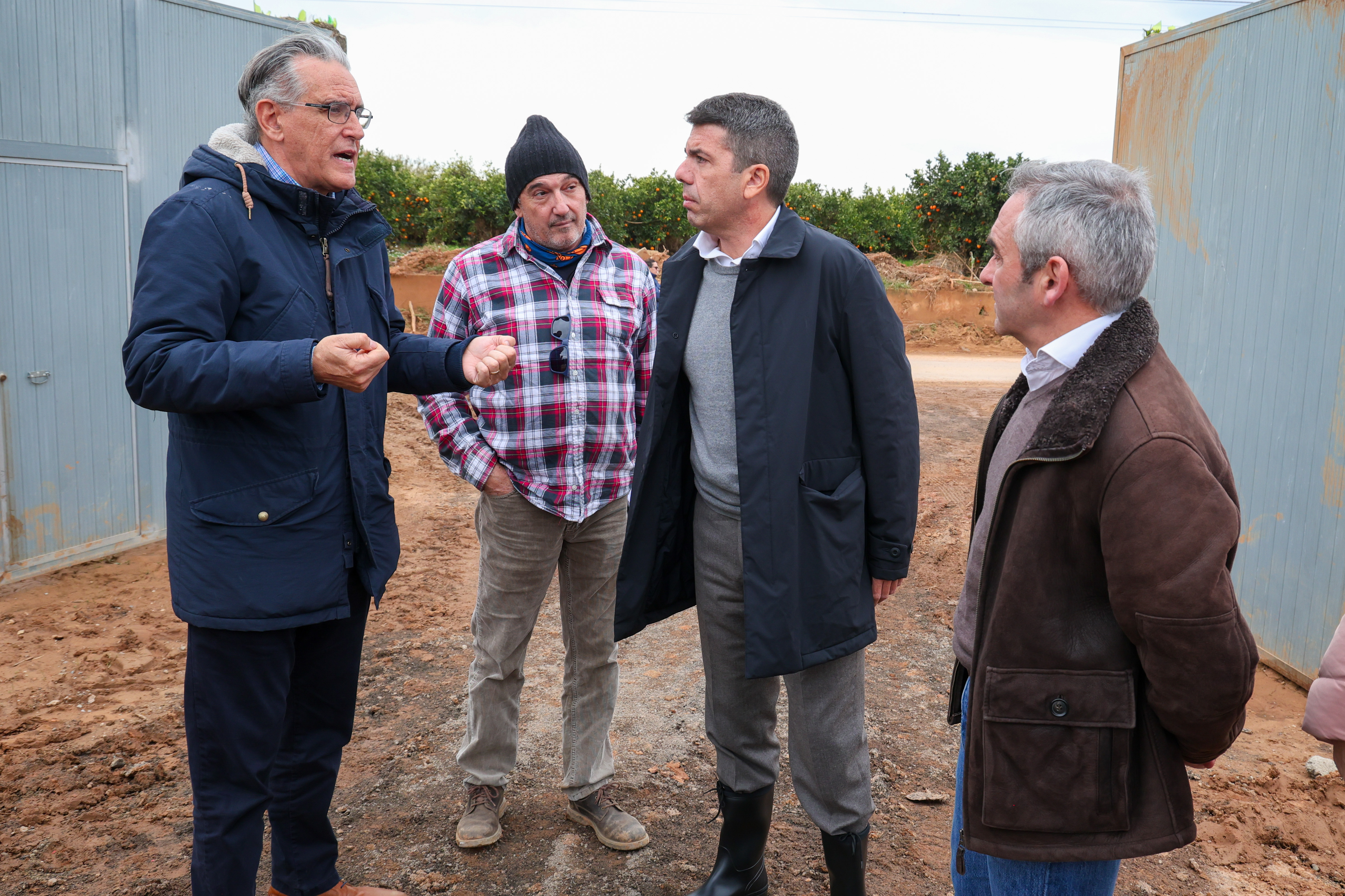 El Consell aprobará este martes nuevas ayudas directas para explotaciones ganaderas afectadas 