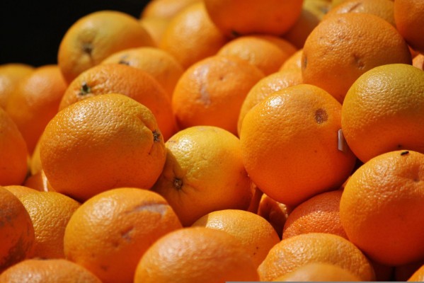 La taronja d'Egipte amenaça de nou la segona part de la campanya local: la fruita arriba a 0,51 €/Kg