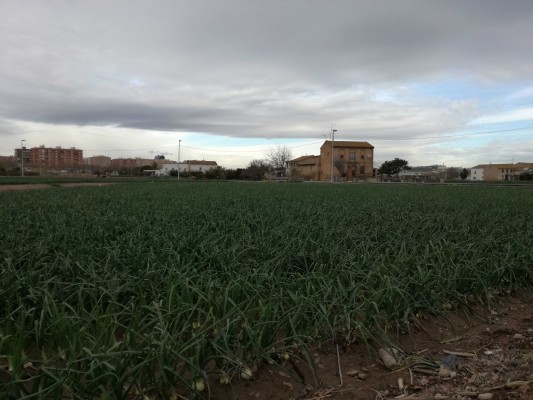 L’horta és dona 
