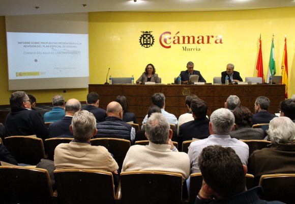 El Consejo del Agua valida la modificación del Plan Especial de Sequias de la cuenca del Segura