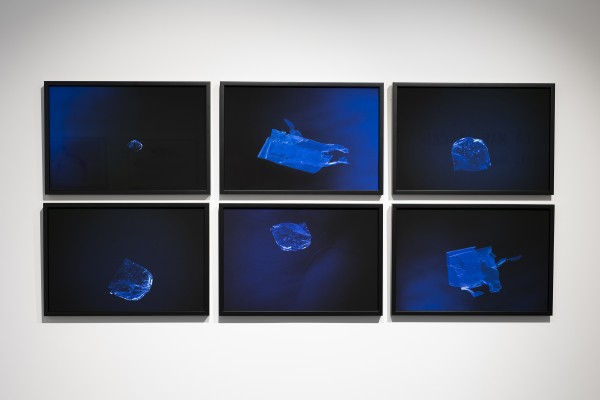 'Del mar al cielo', la exposición de Valeria Real que busca concienciar sobre el cambio climático 