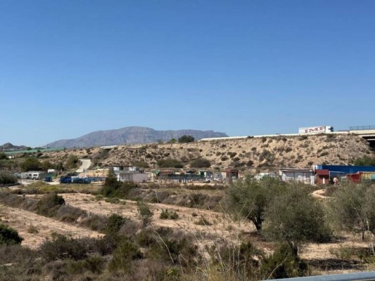 Medio Ambiente cierra tres primeros expedientes para eliminar asentamientos alegales en Alicante