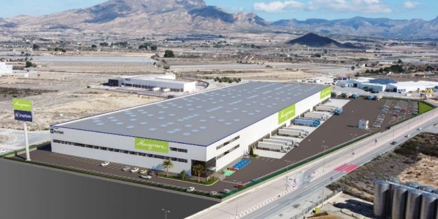 Musgrave, lista para abandonar sus sedes de Elche y Mercalicante y unificar en Monforte para marzo