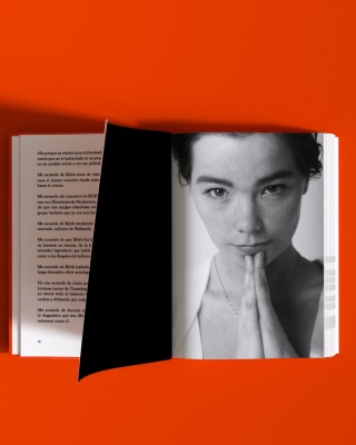 Björk: una artista caleidoscópica


