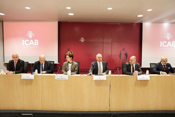 La abogacía reclama la cláusula 'Rebus' en la ley para evitar problemas contractuales en crisis como la Dana