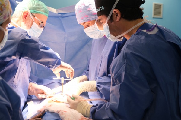 IMED Valencia realiza la técnica del Pectus UP por primera vez en la sanidad privada de la Comunitat
