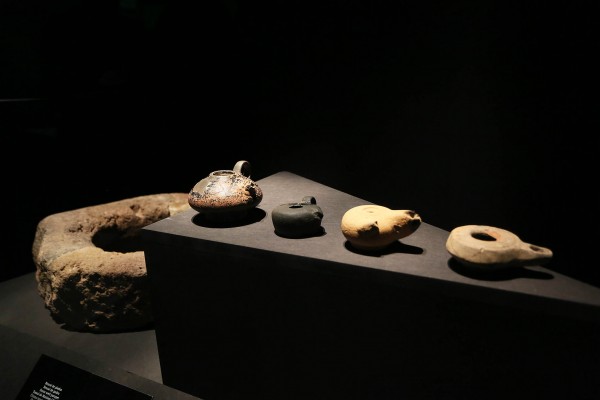 El MARQ cierra 2024 con más de 158.000 visitas y afianza su papel como museo de referencia 

