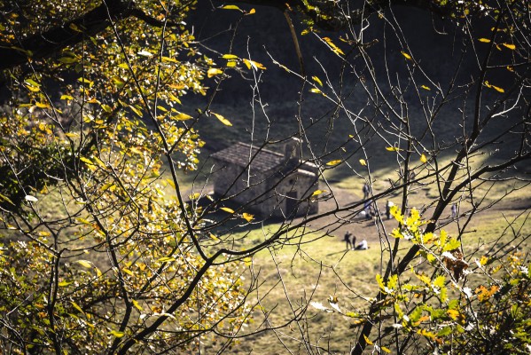 La Garrotxa, un paseo entre hayedos, volcanes y pueblos de encanto medieval