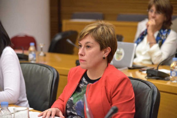 Cs exige conocer el nivel de certificación de valenciano de los miembros del Consell