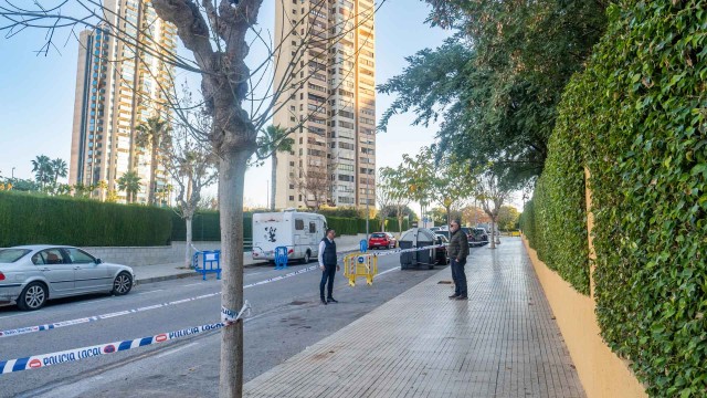 Benidorm sustituirá 250 árboles dañados en Els Tolls y el Rincón de Loix
