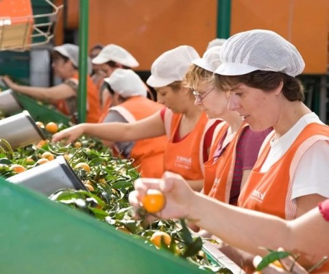 Iberian Premium Fruits compra la firma valenciana The Natural Hand, especializada en caqui