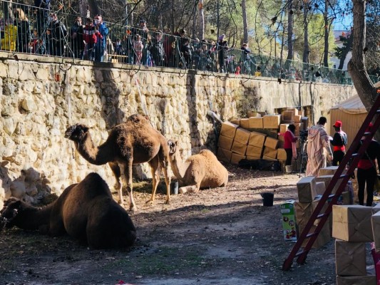 Campamento de los Reyes Magos en Alcoy: donde la magia y la ilusión se pueden tocar
