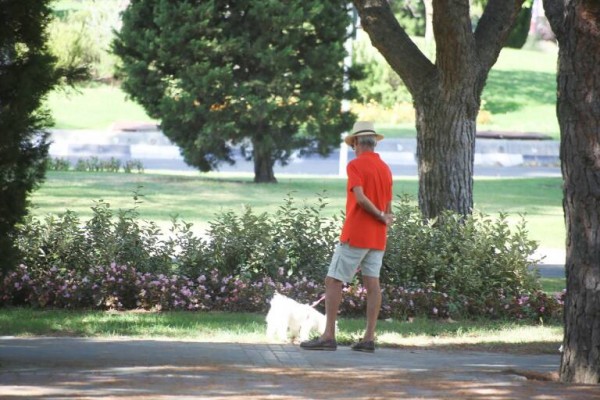 La edad legal de jubilación sube a 66 años y 8 meses en 2025

