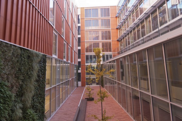 De servicios sociales a discapacidad: Castelló trasladará al menos seis departamentos a Borrull