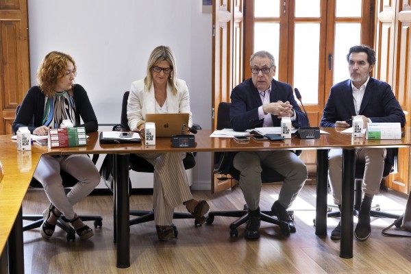 El CES destaca la necesidad urgente de revisar la nueva ley de la costa del Consell tras la Dana
