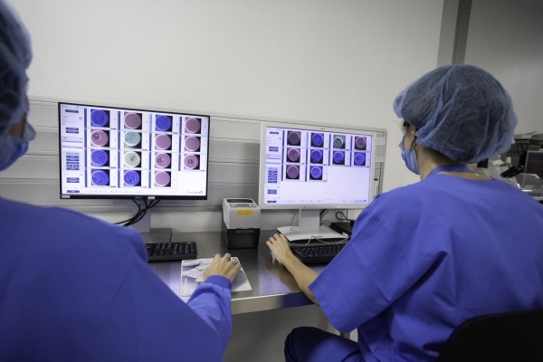 Congelar óvulos de joven, un recurso para las mujeres que desean planificar la maternidad de manera más flexible
