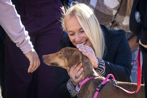 Bioparc acoge el 25º desfile para adoptar perros abandonados y afectados por la Dana
