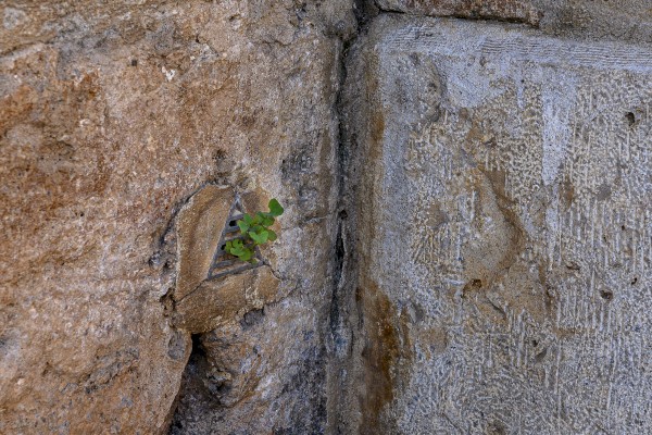 ¿Qué esconden los muros de Sant Miquel dels Reis?