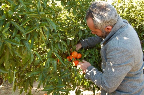La Unió cifra el déficit de productos agropecuarios entre España y Mercosur en más de 240.000 Tm