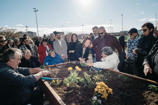 Castelló ya dispone del primer huerto urbano accesible de la provincia en el barrio de San Lorenzo

