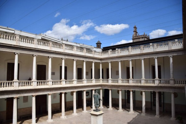 La función de la universidad