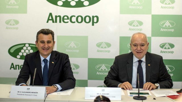 Anecoop crece un 6,8% al mejorar las ventas de sus vinos y frutas