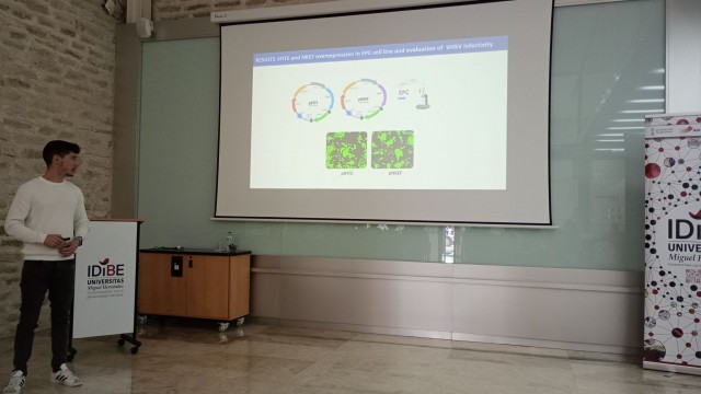 El Parque Científico de la UMH publica los planes ganadores del programa Emprende TFG & TFM