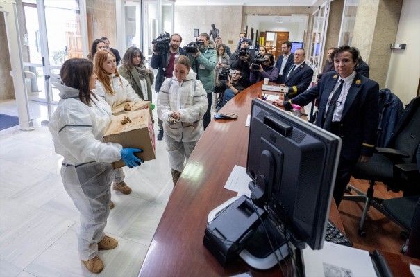 Familiares de los fallecidos por la Dana entregan 65.000 firmas en el Congreso y piden justicia