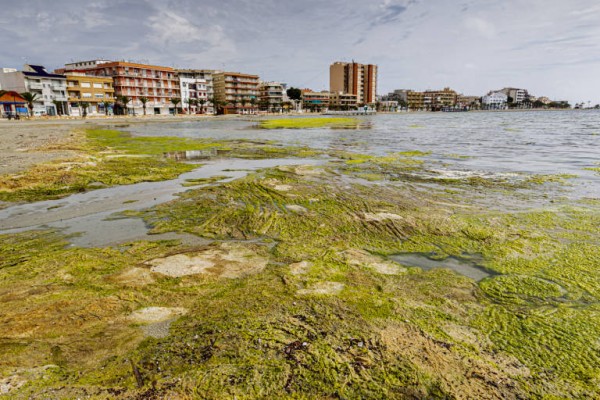 'El mar no cesa', el documental sobre el Mar Menor que 