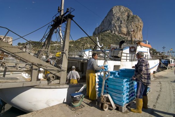 El pleno de Calp solicitará a la UE que desista en la propuesta que reduce los días de pesca 